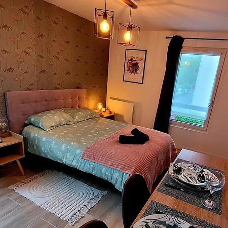 L' Ecrin De Jade Apartment Melun Room photo